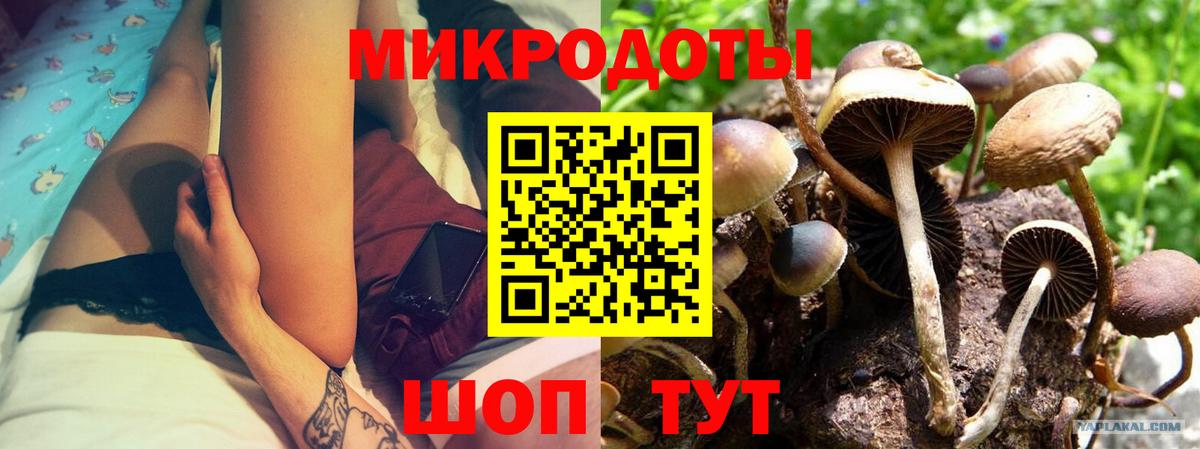 Ижевск  Псилоцибиновые грибы ЛСД  Вход с VPN 